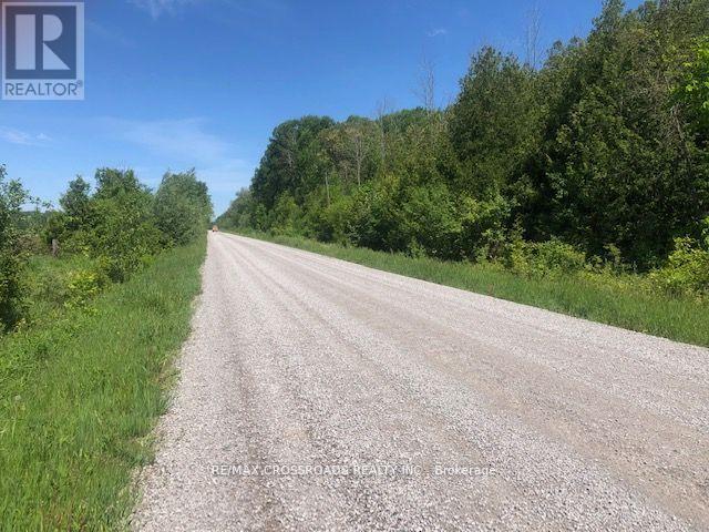 1630 Thorah Concession 9 Road, Brock, Ontario  L0K 1B0 - Photo 4 - N12521984