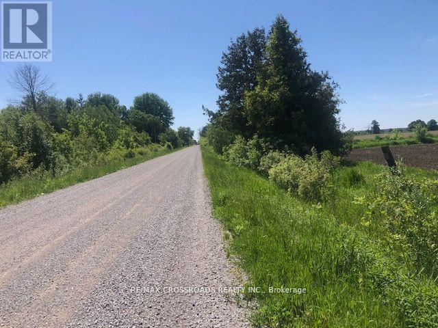 1630 Thorah Concession 9 Road, Brock, Ontario  L0K 1B0 - Photo 5 - N12521984