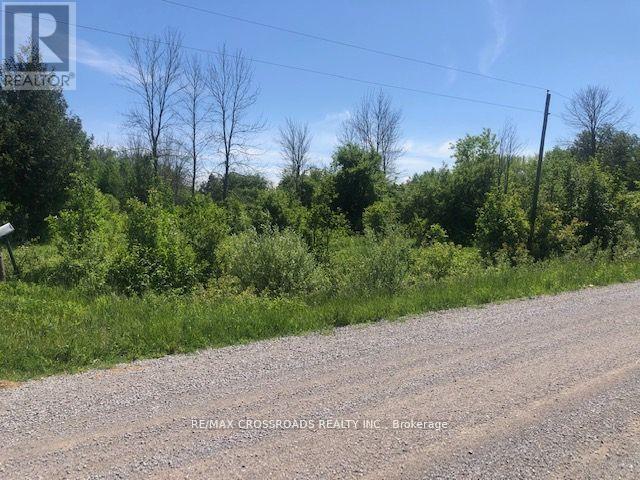 1630 Thorah Concession 9 Road, Brock, Ontario  L0K 1B0 - Photo 6 - N12521984