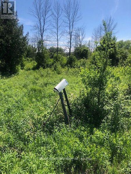 1630 Thorah Concession 9 Road, Brock, Ontario  L0K 1B0 - Photo 7 - N12521984