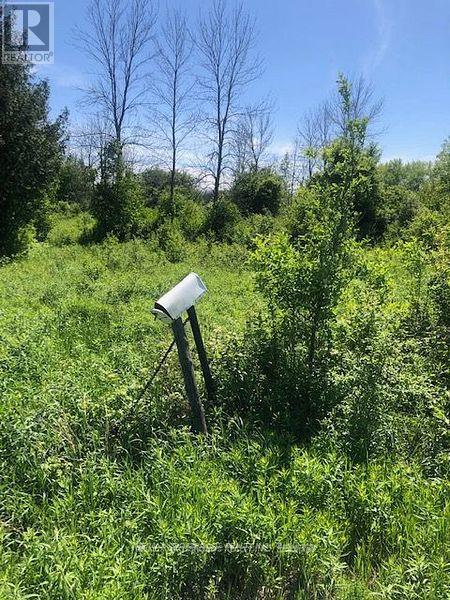 1630 Thorah Concession 9 Road, Brock, Ontario  L0K 1B0 - Photo 8 - N12521984