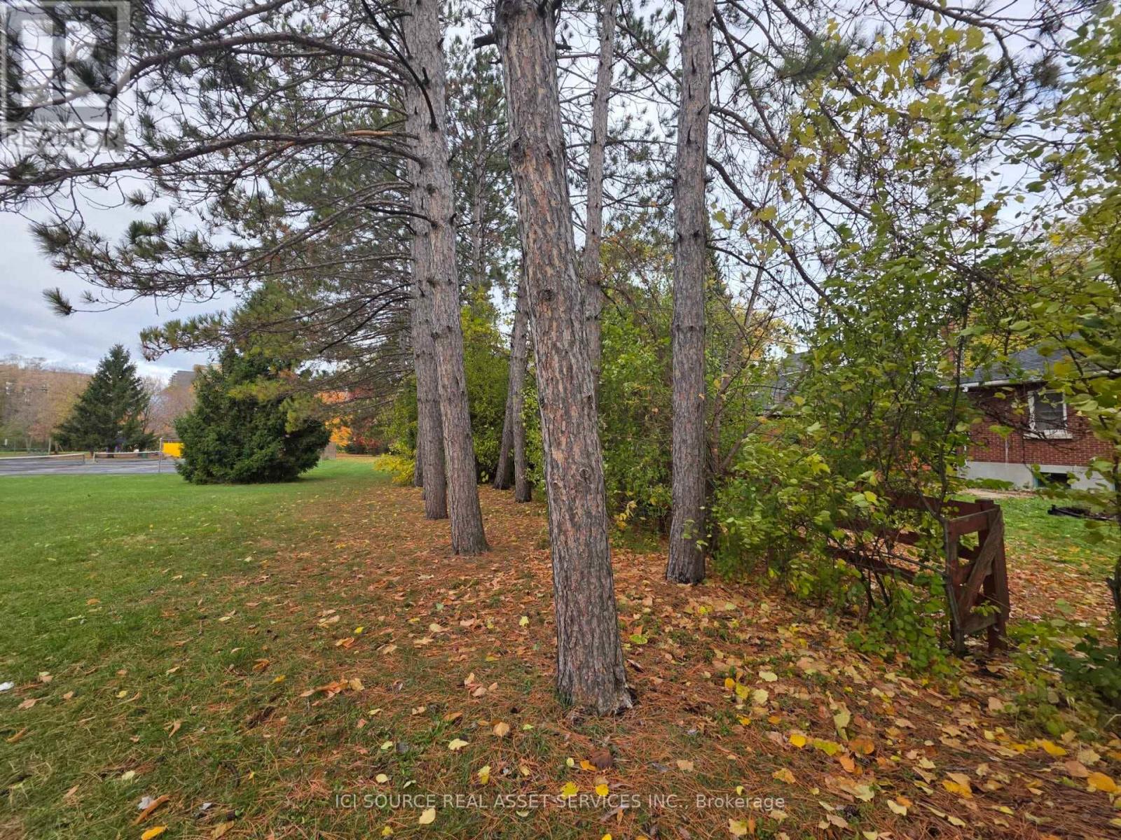 262 Dale Avenue, Ottawa, Ontario  K1G 0H5 - Photo 20 - X12522132