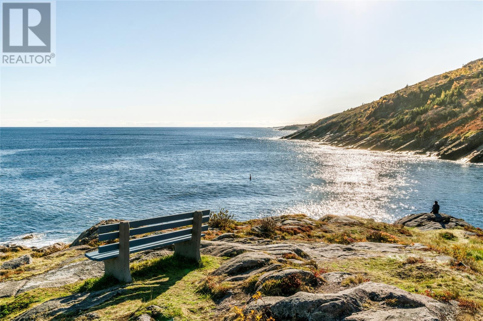 111 Main Road, Petty Harbour, Newfoundland & Labrador  A0A 3H0 - Photo 25 - 1292425