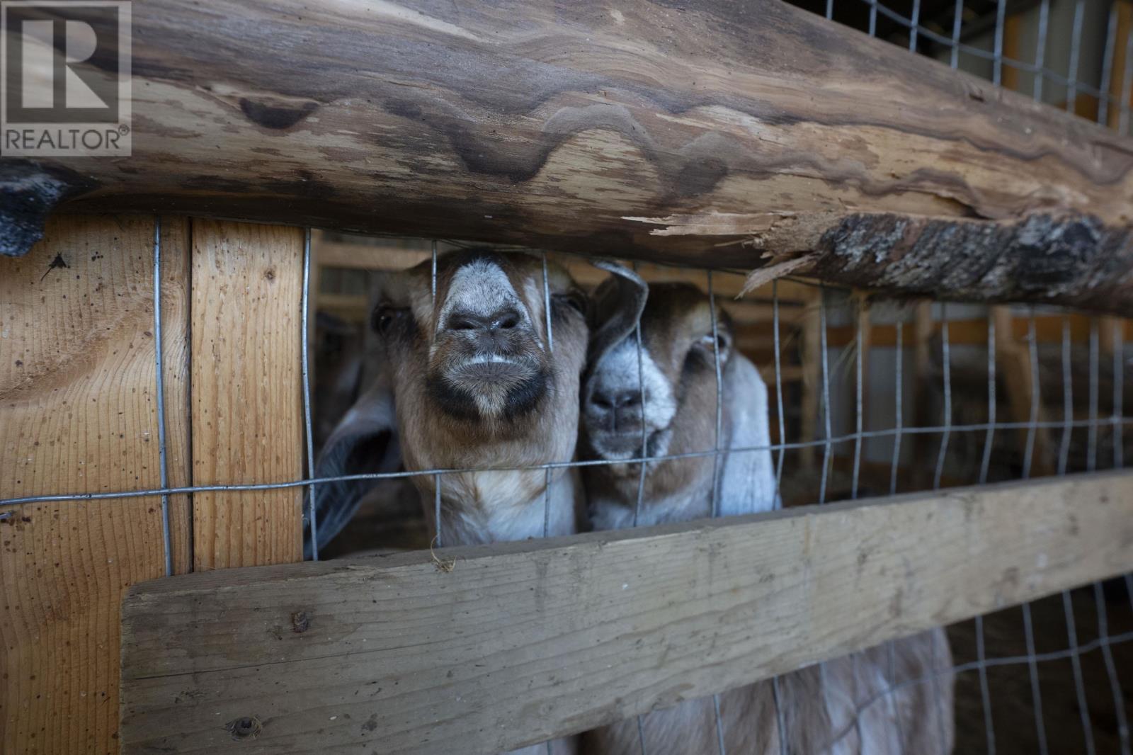 56 Savoie Rd, Neebing, Ontario  P7L 0A4 - Photo 19 - TB253402