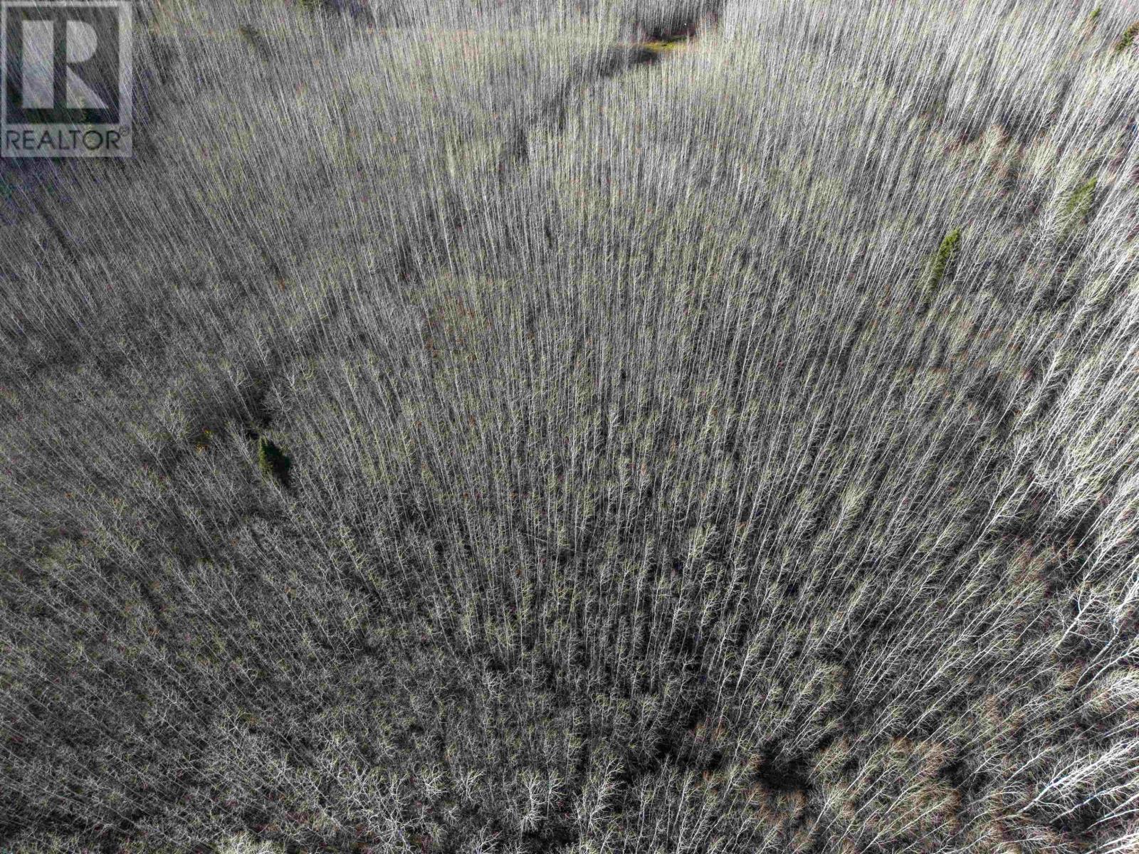 56 Savoie Rd, Neebing, Ontario  P7L 0A4 - Photo 23 - TB253402