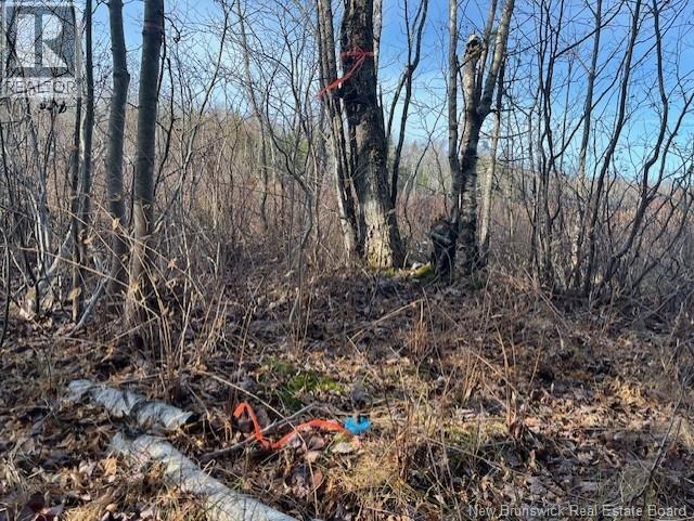 Lot 11-2 Hazen Lane, Lake George, New Brunswick  E6K 2N9 - Photo 18 - NB129630