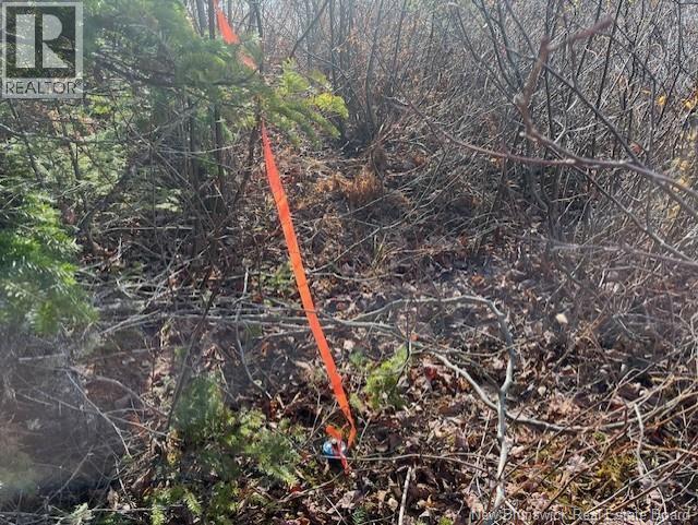 Lot 11-2 Hazen Lane, Lake George, New Brunswick  E6K 2N9 - Photo 19 - NB129630