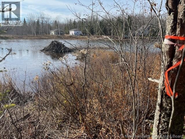 Lot 11-2 Hazen Lane, Lake George, New Brunswick  E6K 2N9 - Photo 10 - NB129630