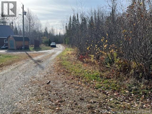 Lot 11-2 Hazen Lane, Lake George, New Brunswick  E6K 2N9 - Photo 8 - NB129630