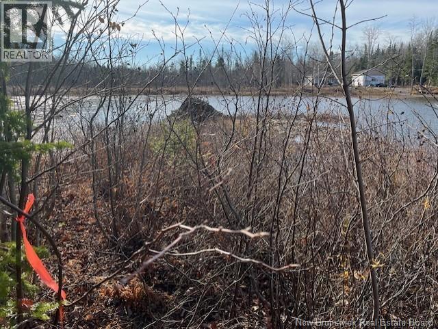 Lot 11-2 Hazen Lane, Lake George, New Brunswick  E6K 2N9 - Photo 11 - NB129630