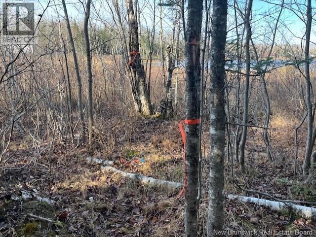 Lot 11-2 Hazen Lane, Lake George, New Brunswick  E6K 2N9 - Photo 16 - NB129630