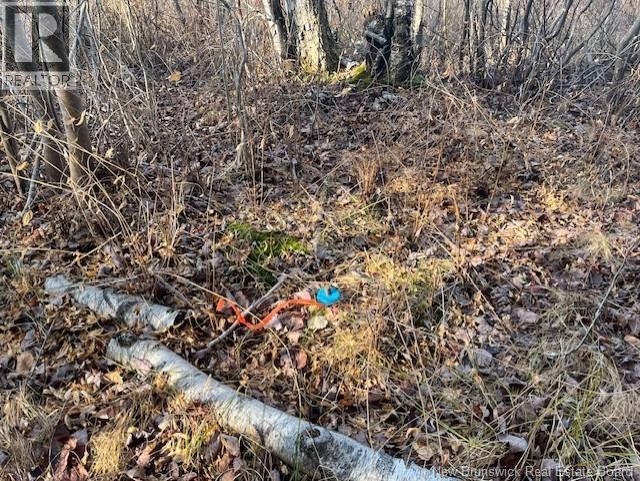 Lot 11-2 Hazen Lane, Lake George, New Brunswick  E6K 2N9 - Photo 17 - NB129630