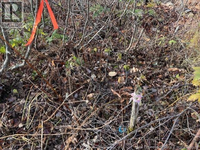 Lot 11-2 Hazen Lane, Lake George, New Brunswick  E6K 2N9 - Photo 20 - NB129630