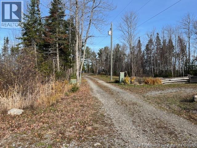 Lot 11-2 Hazen Lane, Lake George, New Brunswick  E6K 2N9 - Photo 7 - NB129630