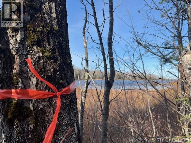 Lot 11-2 Hazen Lane, Lake George, New Brunswick  E6K 2N9 - Photo 9 - NB129630