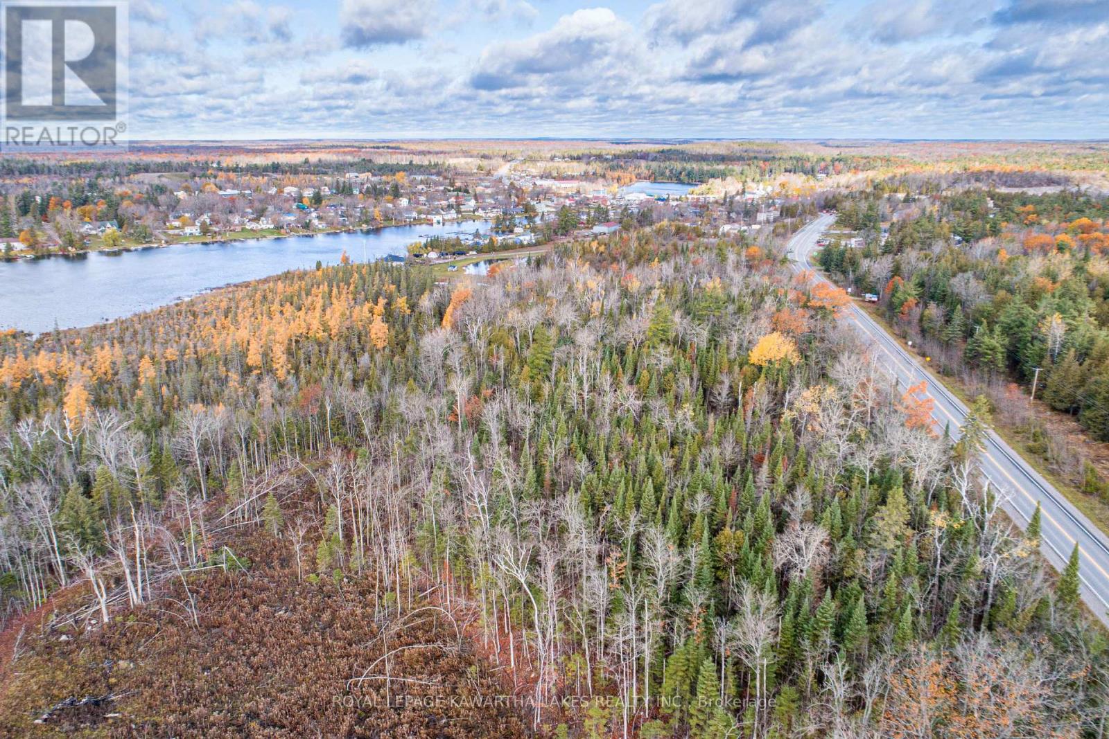 0 Duncombe Drive, Kawartha Lakes, Ontario K0M 1K0 - Photo 10 - X12522630