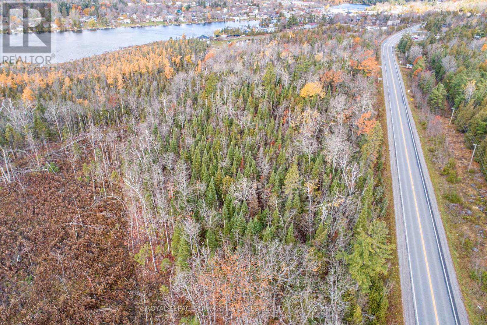 0 Duncombe Drive, Kawartha Lakes, Ontario K0M 1K0 - Photo 11 - X12522630