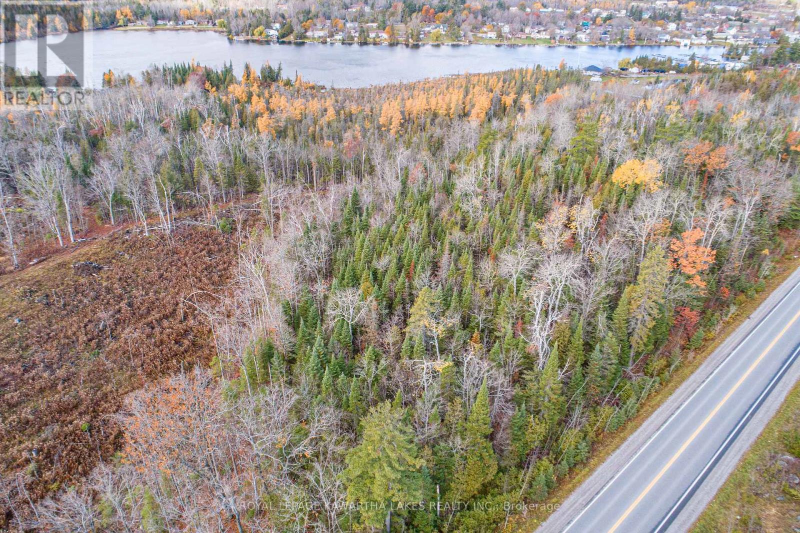 0 Duncombe Drive, Kawartha Lakes, Ontario K0M 1K0 - Photo 12 - X12522630