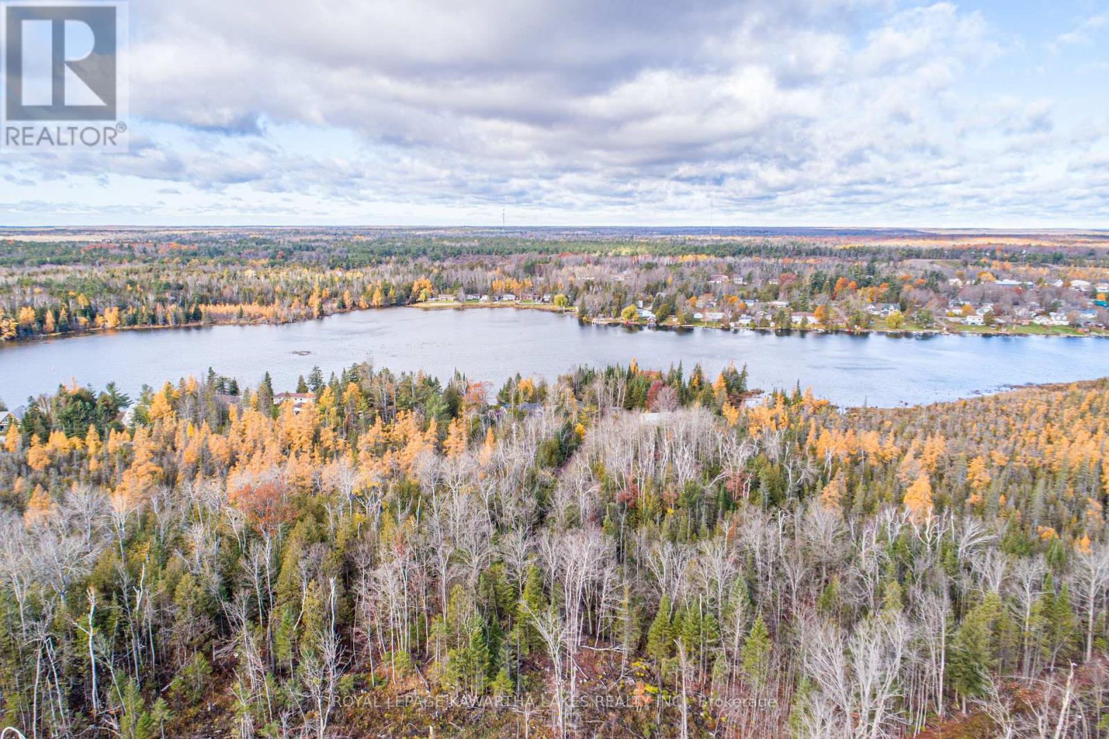 0 Duncombe Drive, Kawartha Lakes, Ontario K0M 1K0 - Photo 6 - X12522630