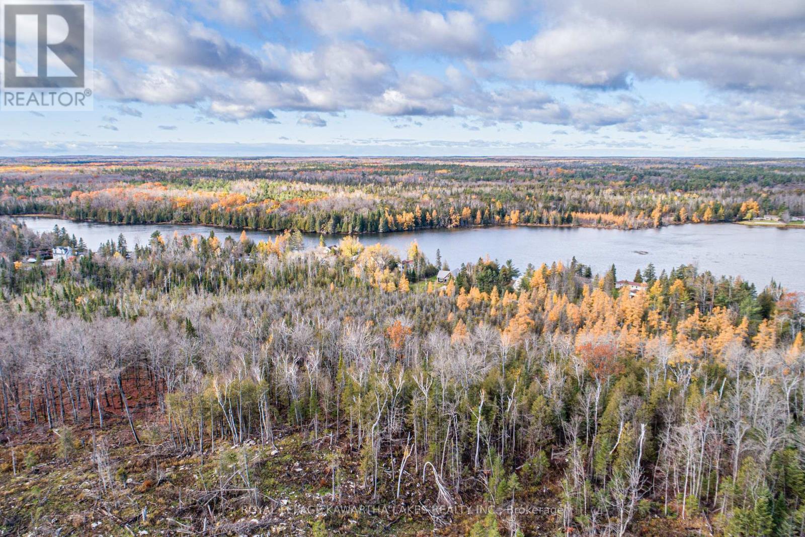 0 Duncombe Drive, Kawartha Lakes, Ontario K0M 1K0 - Photo 7 - X12522630