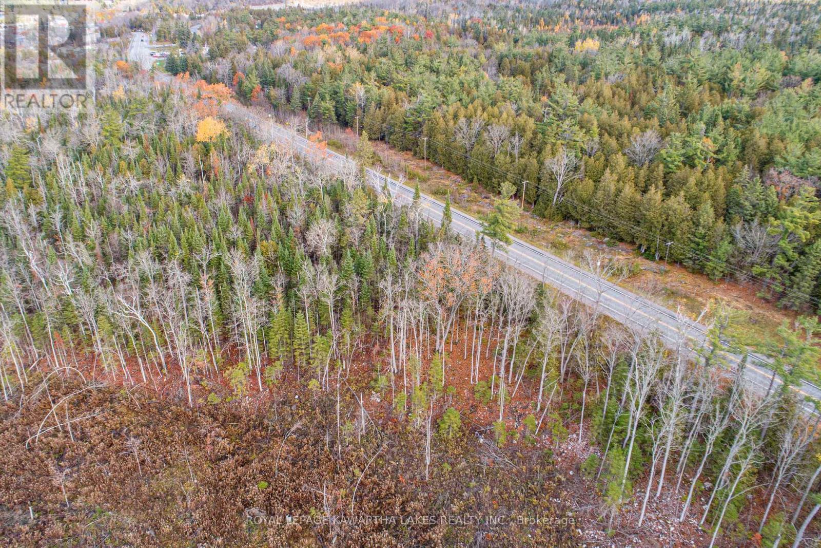 0 Duncombe Drive, Kawartha Lakes, Ontario K0M 1K0 - Photo 9 - X12522630