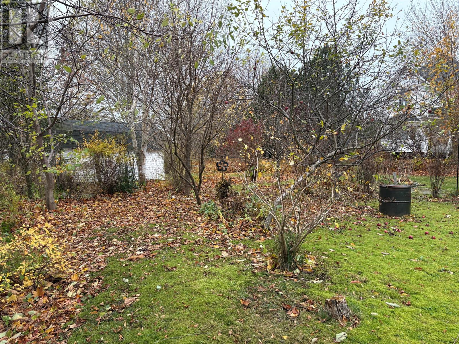 5 Stacey Crescent, Stephenville, Newfoundland & Labrador  A2N 3R6 - Photo 11 - 1292412