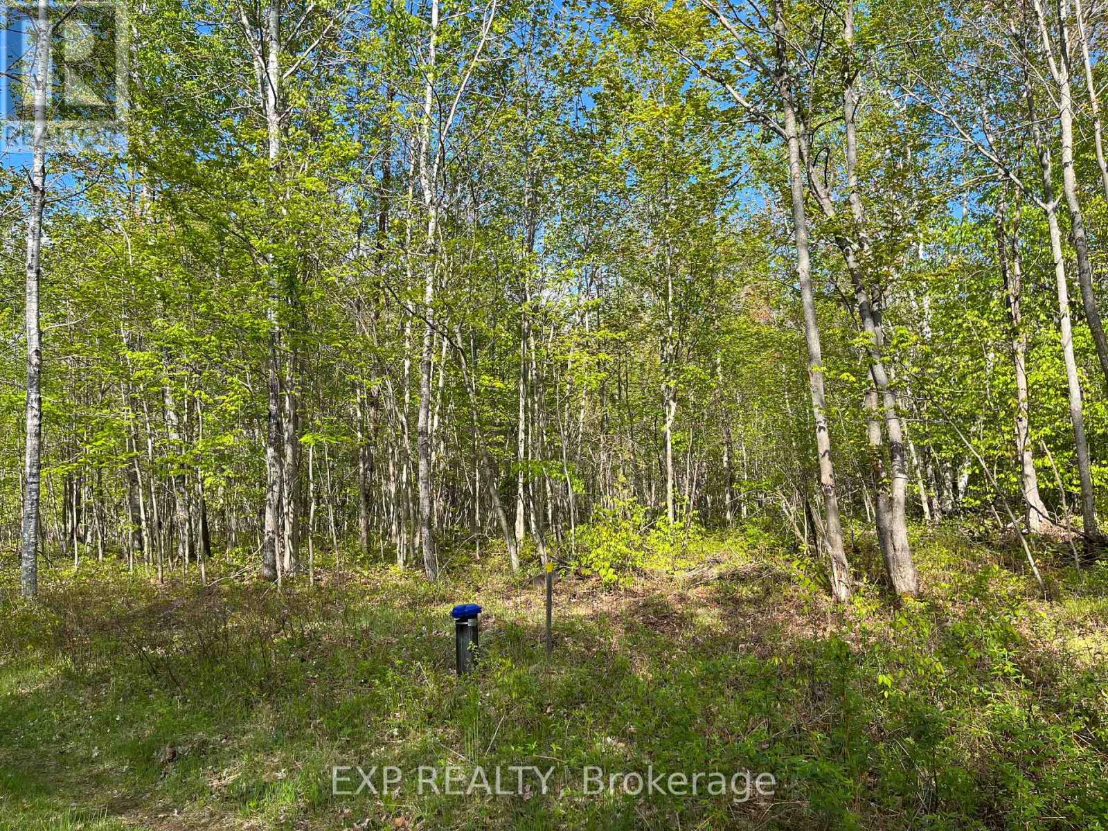 Lot 4 Sandy Shores Trail, Madawaska Valley, Ontario  K0J 1B0 - Photo 8 - X12522734
