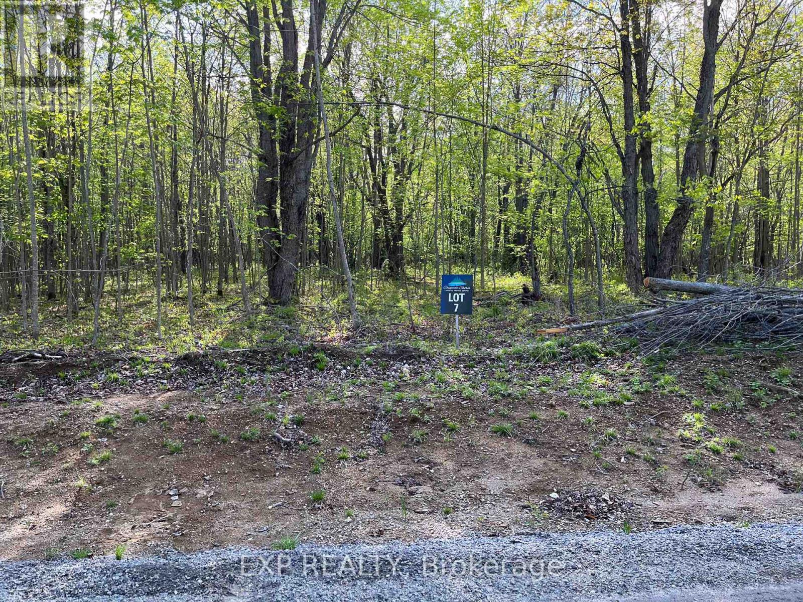 Lot 7 Casson Trail, Madawaska Valley, Ontario  K0J 1B0 - Photo 2 - X12522736