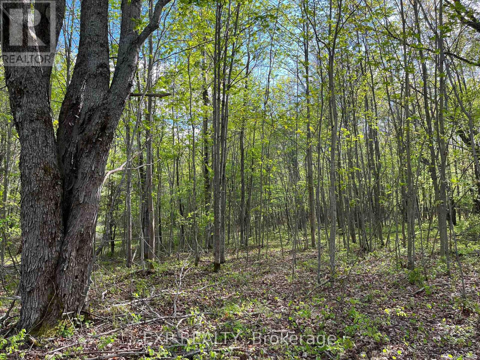Lot 7 Casson Trail, Madawaska Valley, Ontario  K0J 1B0 - Photo 3 - X12522736
