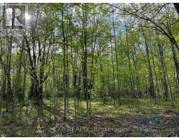LOT 7 CASSON TRAIL, Madawaska Valley, Ontario