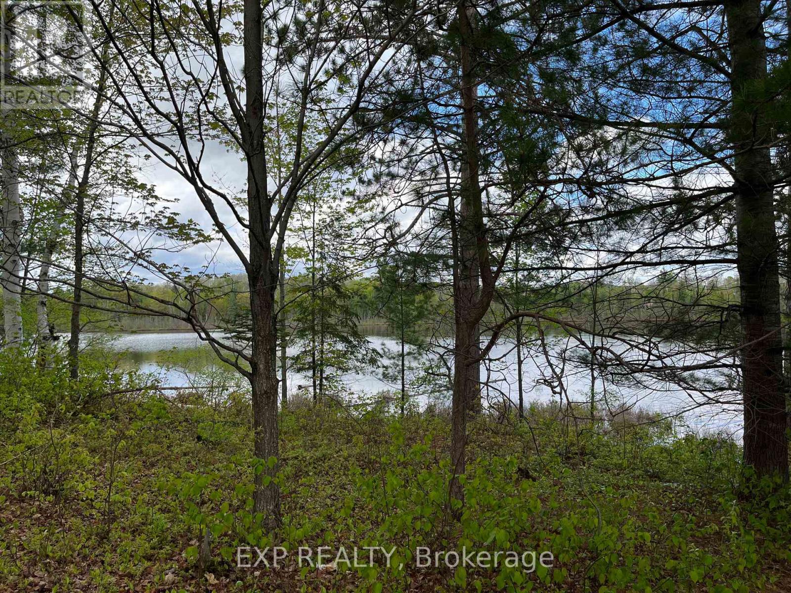 Lot 9 Casson Trail, Madawaska Valley, Ontario  K0J 1B0 - Photo 3 - X12522740