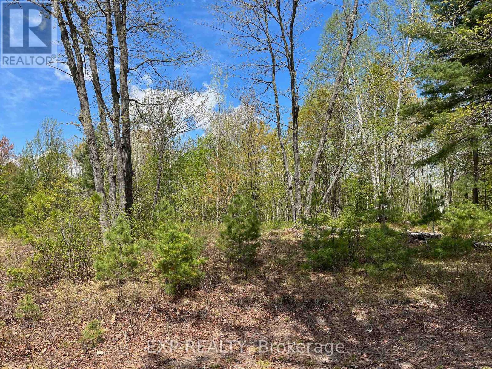 Lot 15 Sandy Shores Trail, Madawaska Valley, Ontario  K0J 1B0 - Photo 10 - X12522742