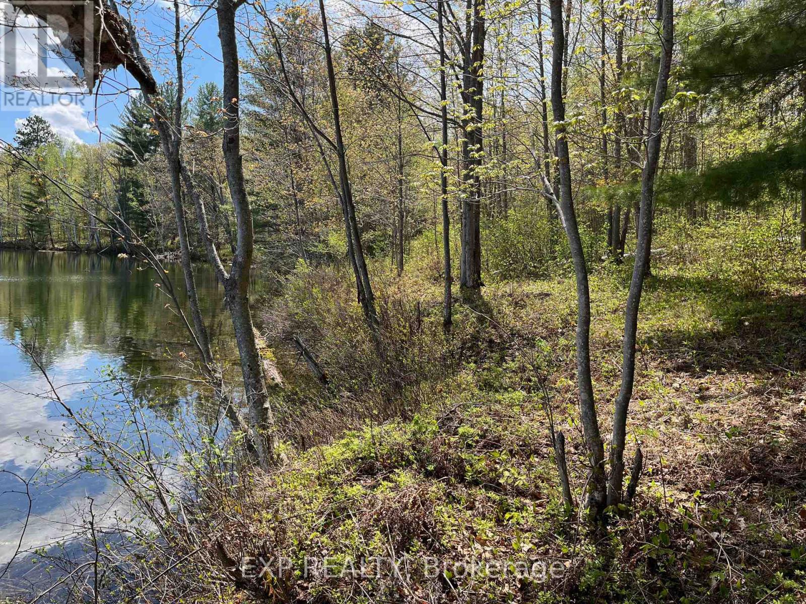 Lot 15 Sandy Shores Trail, Madawaska Valley, Ontario  K0J 1B0 - Photo 3 - X12522742