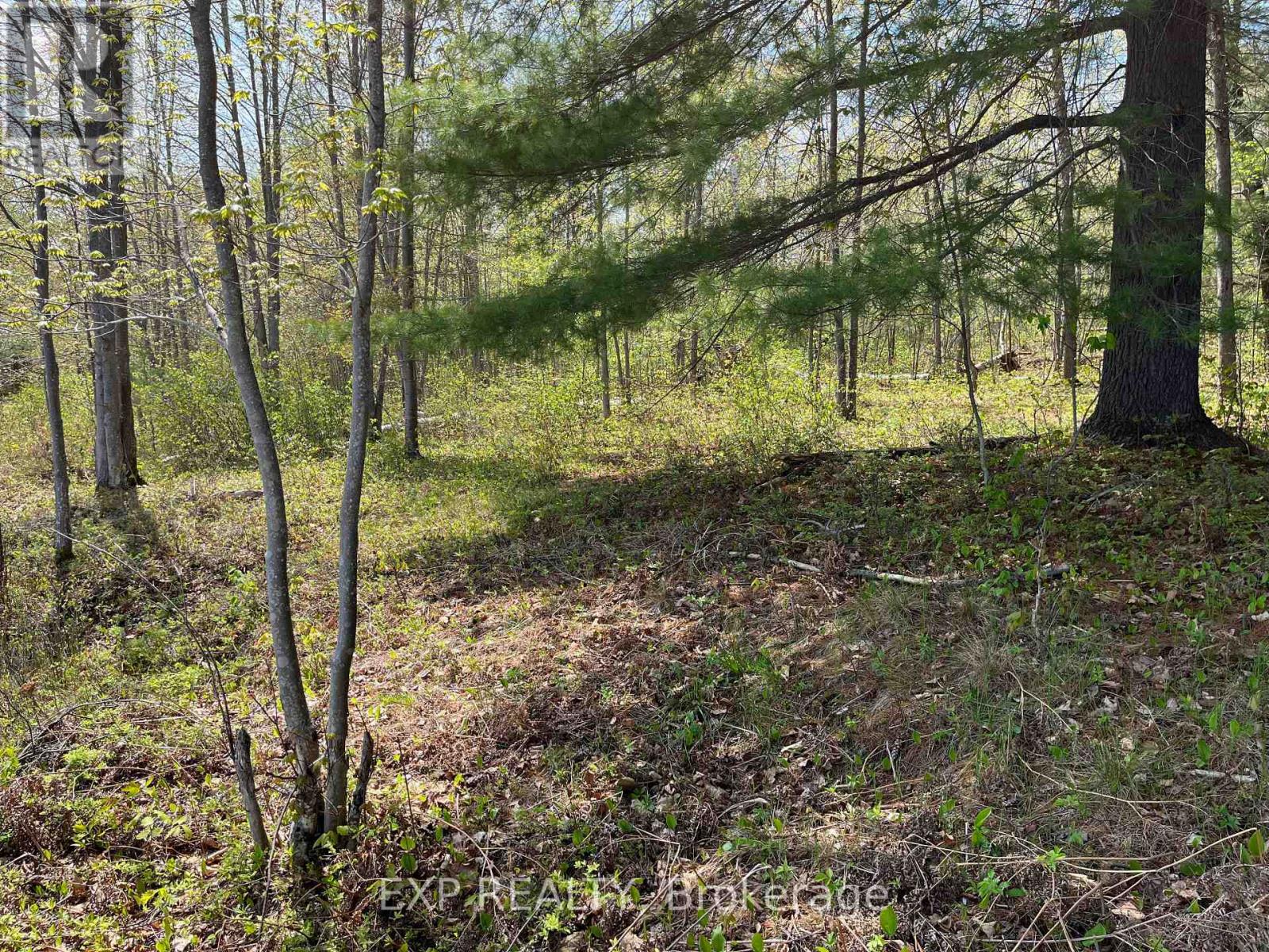 Lot 15 Sandy Shores Trail, Madawaska Valley, Ontario  K0J 1B0 - Photo 4 - X12522742
