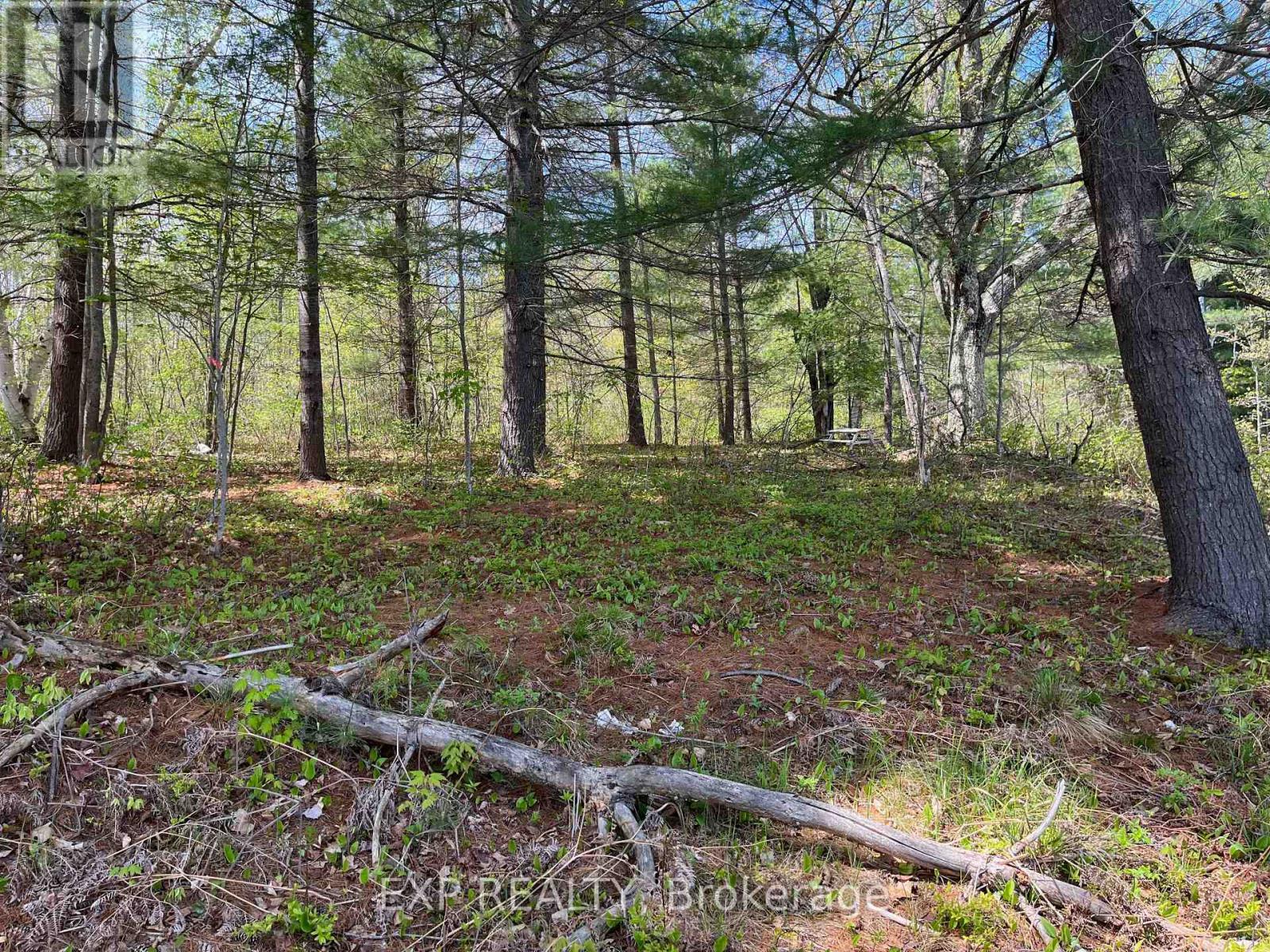 Lot 15 Sandy Shores Trail, Madawaska Valley, Ontario  K0J 1B0 - Photo 5 - X12522742