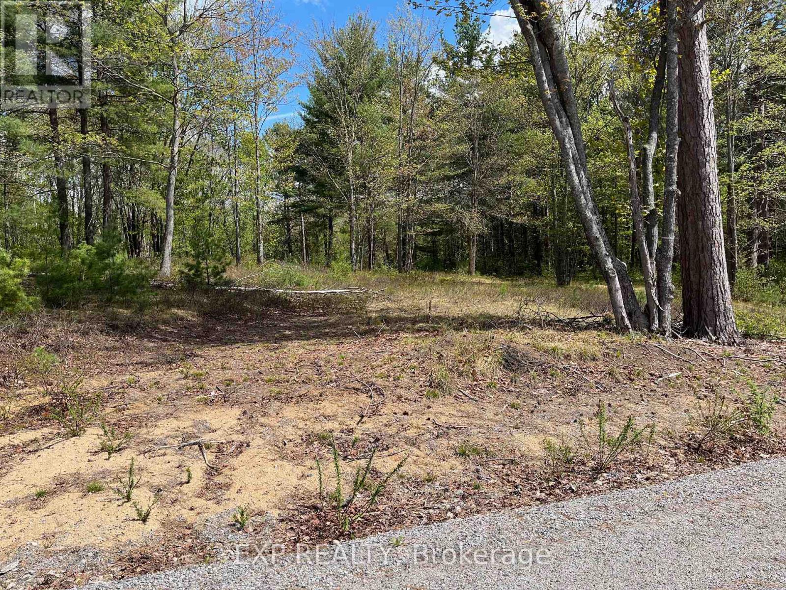 Lot 15 Sandy Shores Trail, Madawaska Valley, Ontario  K0J 1B0 - Photo 8 - X12522742