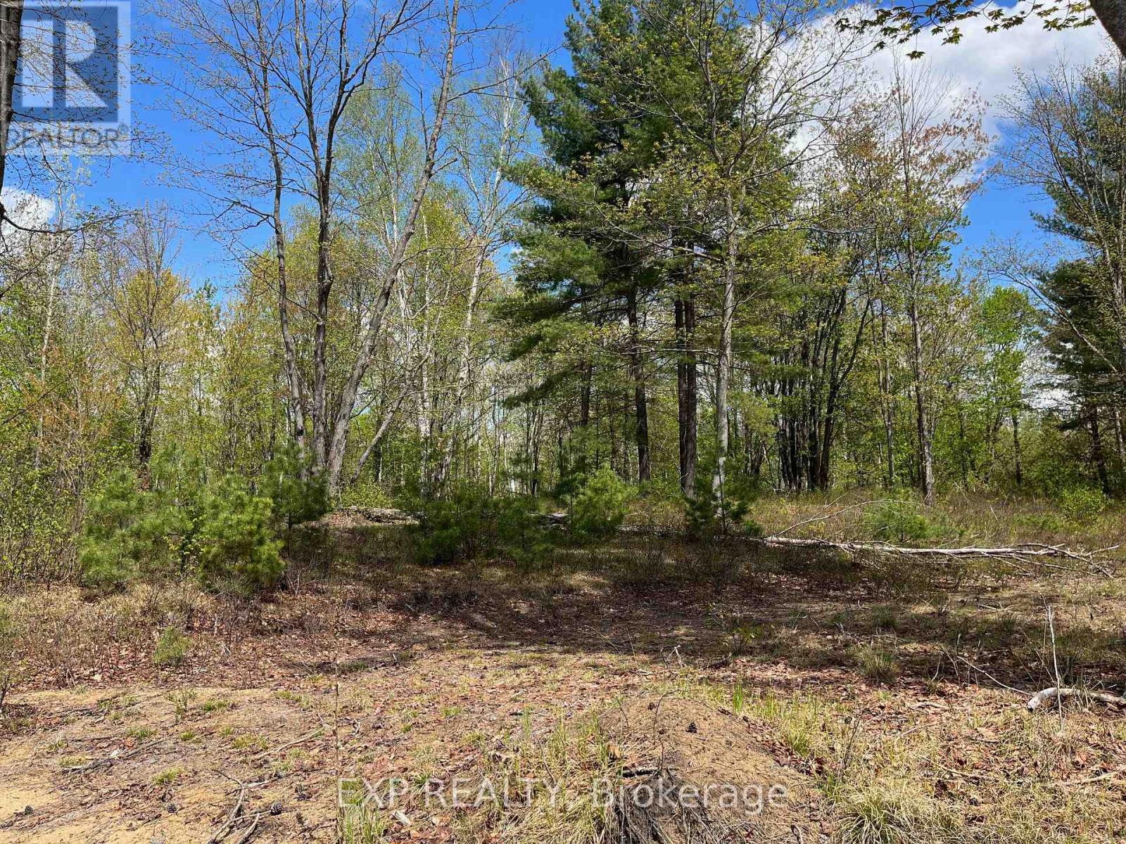 Lot 15 Sandy Shores Trail, Madawaska Valley, Ontario  K0J 1B0 - Photo 9 - X12522742