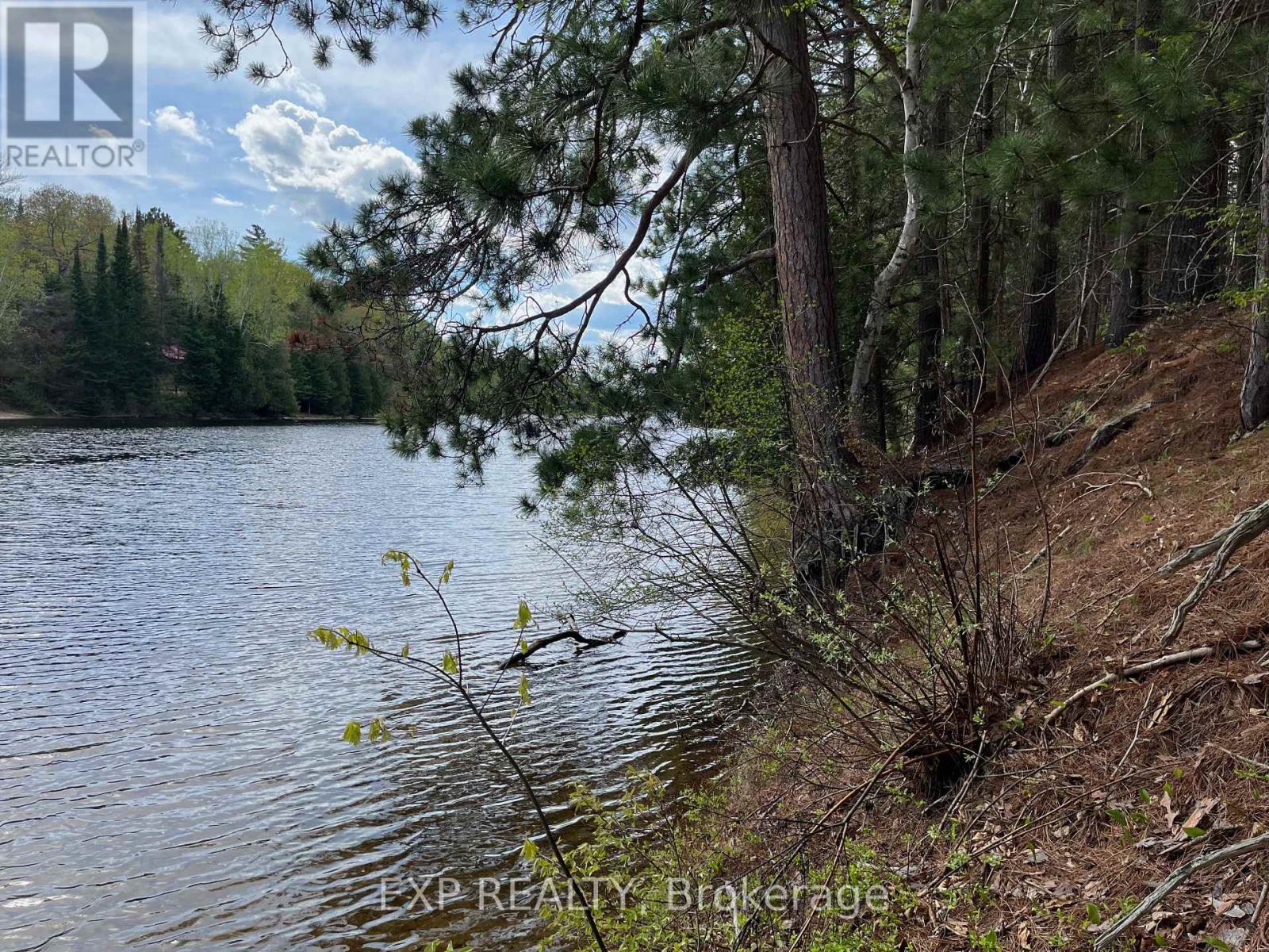 Lot 30 Sandy Shores Trail, Madawaska Valley, Ontario  K0J 1B0 - Photo 4 - X12522746