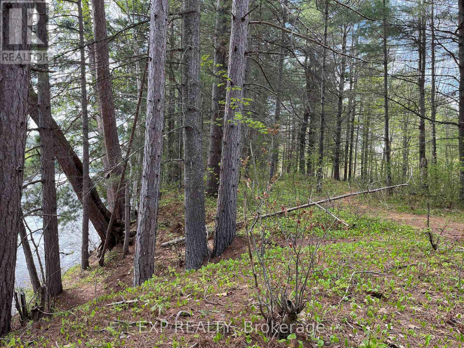 Lot 30 Sandy Shores Trail, Madawaska Valley, Ontario  K0J 1B0 - Photo 5 - X12522746