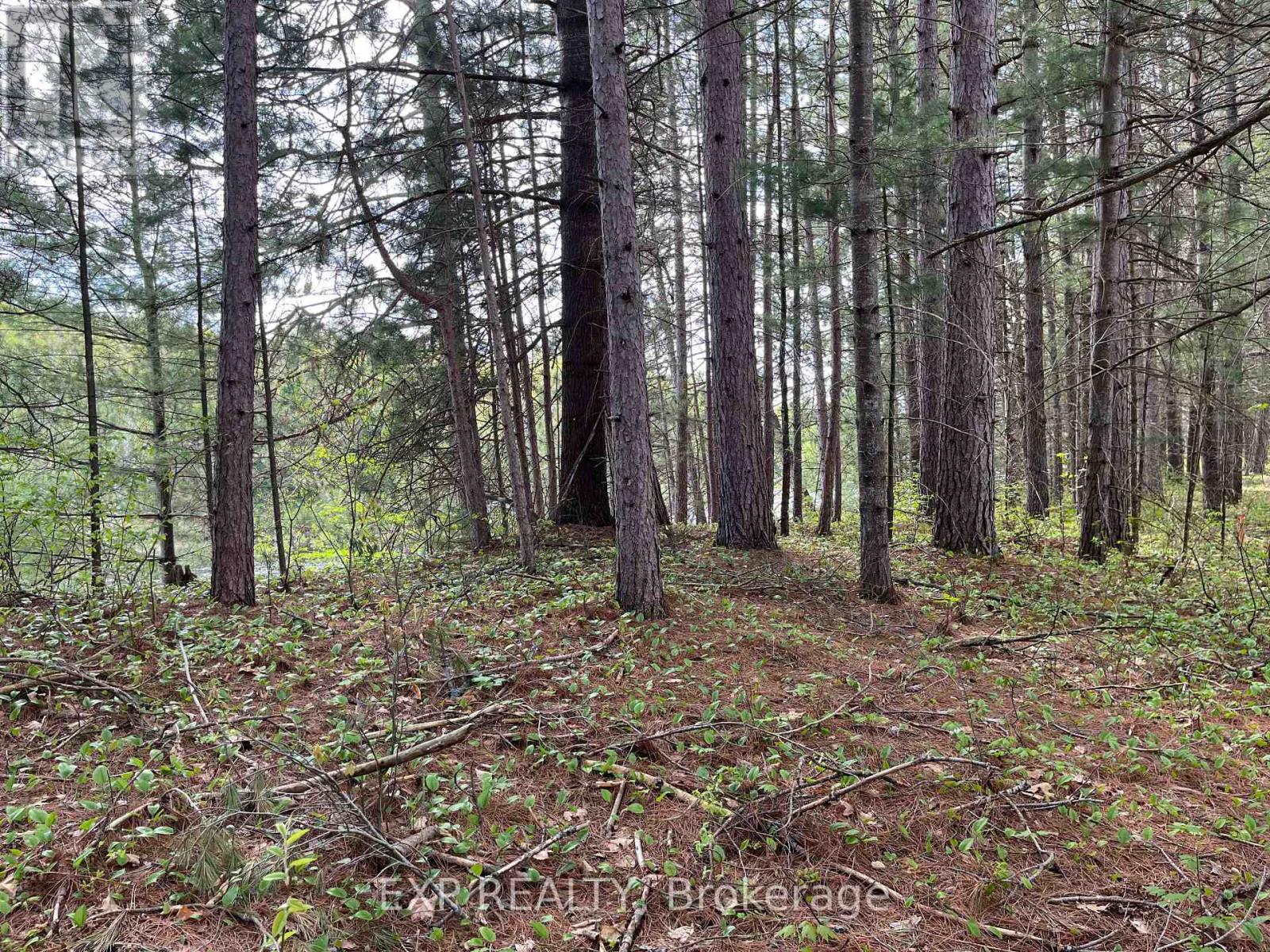 Lot 30 Sandy Shores Trail, Madawaska Valley, Ontario  K0J 1B0 - Photo 6 - X12522746