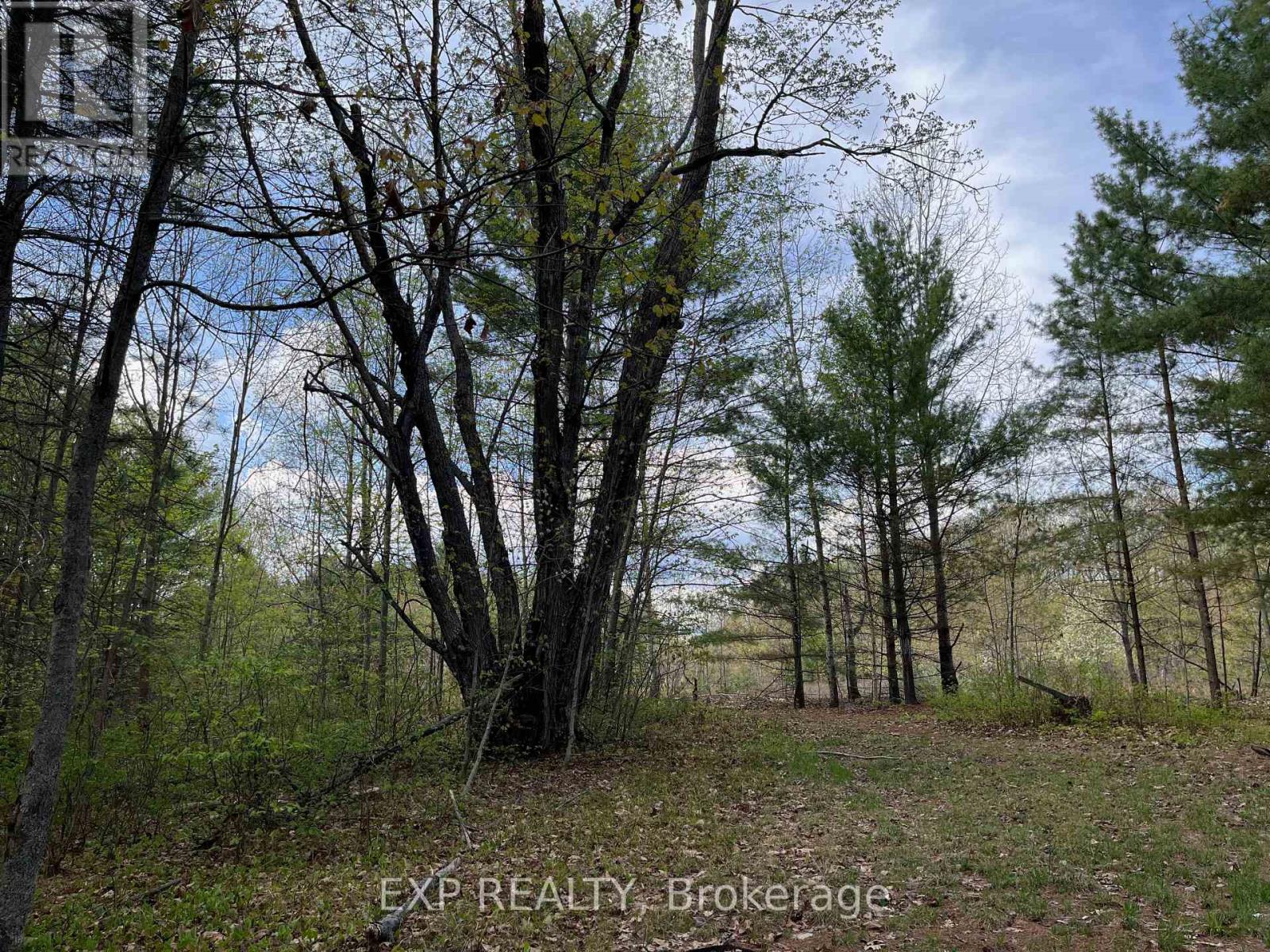 Lot 30 Sandy Shores Trail, Madawaska Valley, Ontario  K0J 1B0 - Photo 7 - X12522746