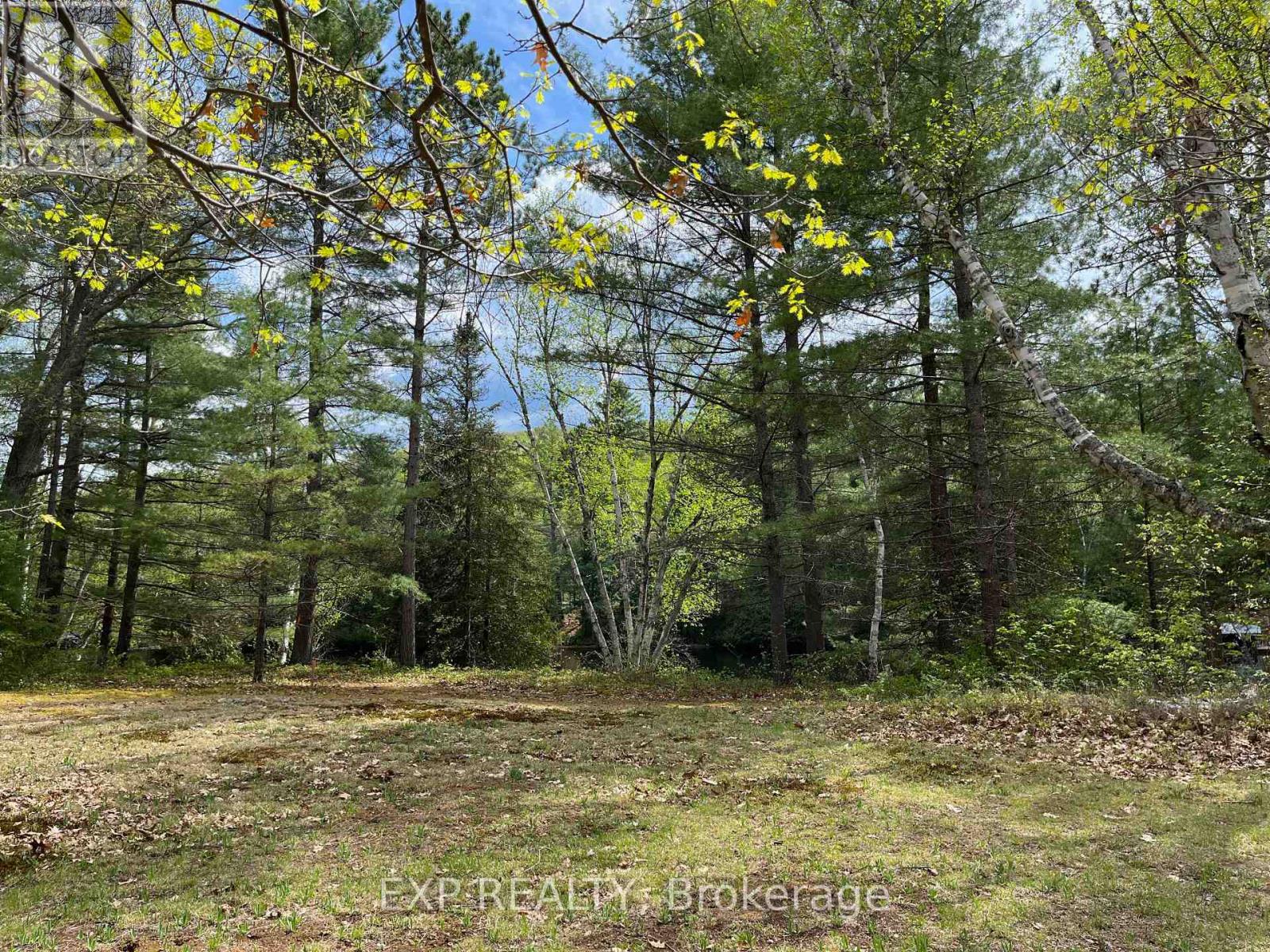 LOT 37 SANDY SHORES TRAIL, Madawaska Valley, Ontario
