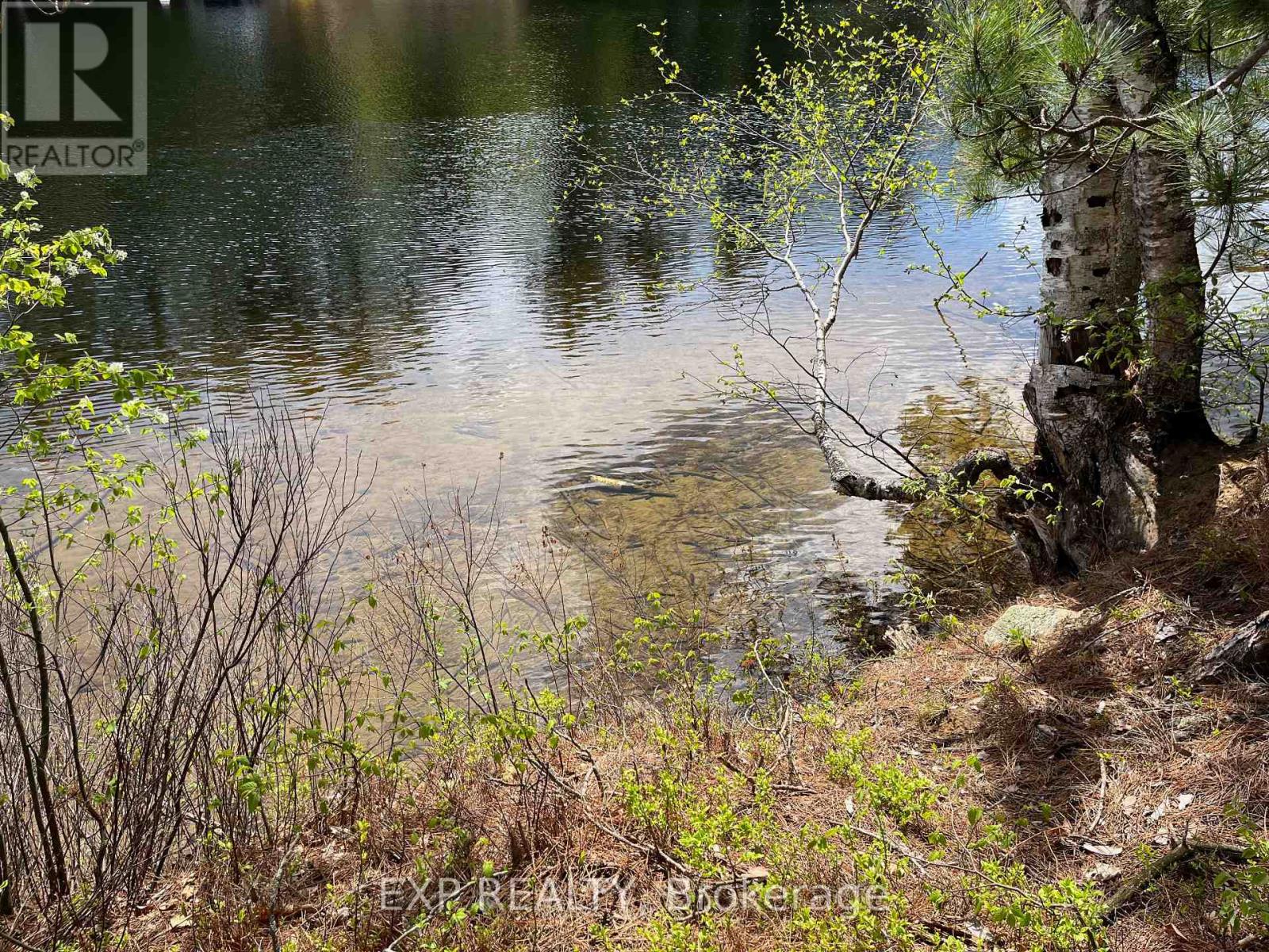 Lot 37 Sandy Shores Trail, Madawaska Valley, Ontario  K0J 1B0 - Photo 2 - X12522748