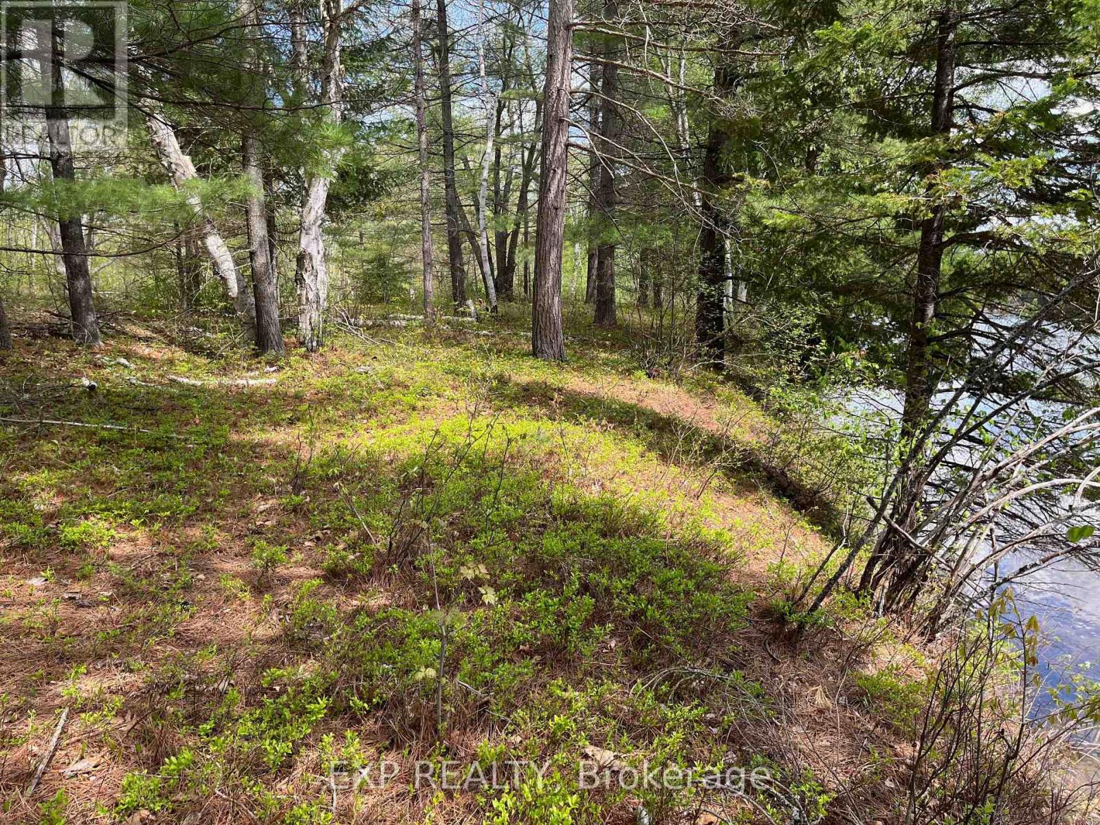 Lot 37 Sandy Shores Trail, Madawaska Valley, Ontario  K0J 1B0 - Photo 3 - X12522748