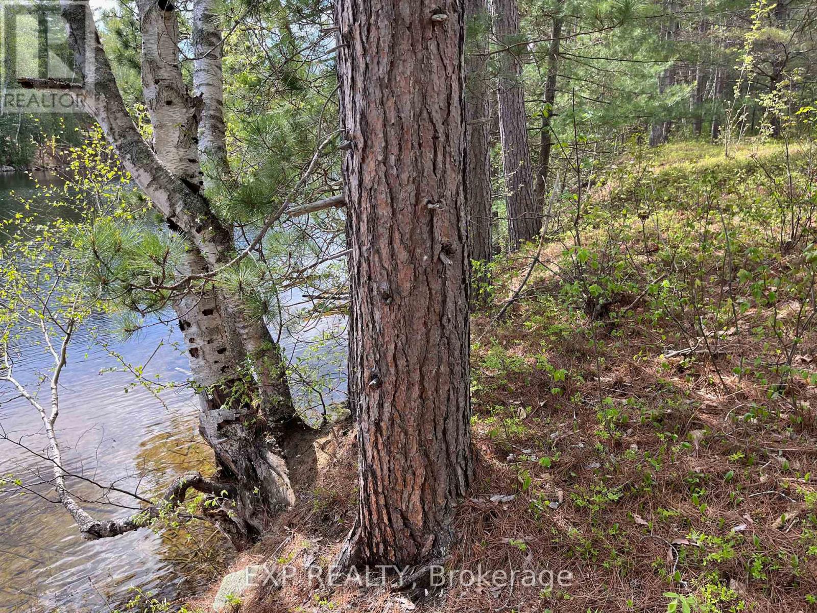 Lot 37 Sandy Shores Trail, Madawaska Valley, Ontario  K0J 1B0 - Photo 4 - X12522748