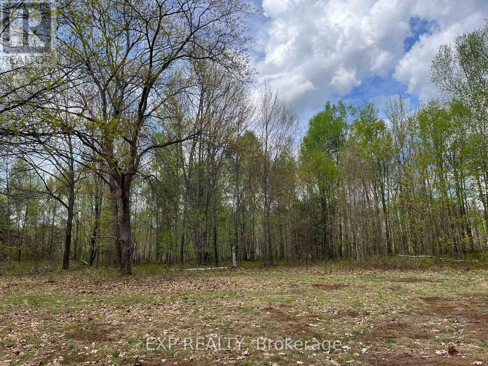 Lot 37 Sandy Shores Trail, Madawaska Valley, Ontario  K0J 1B0 - Photo 5 - X12522748