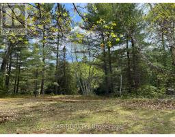 LOT 37 SANDY SHORES TRAIL, Madawaska Valley, Ontario