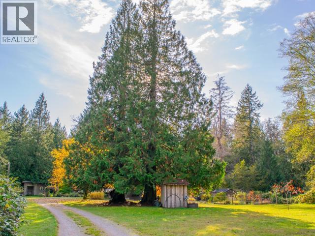2467 Swede Belle Road, Powell River, British Columbia  V8A 0P1 - Photo 75 - 19461