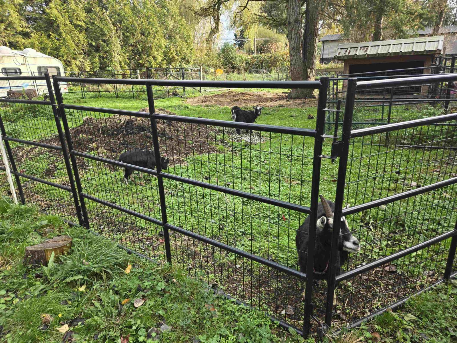 2617 208 Street, Langley, British Columbia  V2Z 2B1 - Photo 11 - R3065595