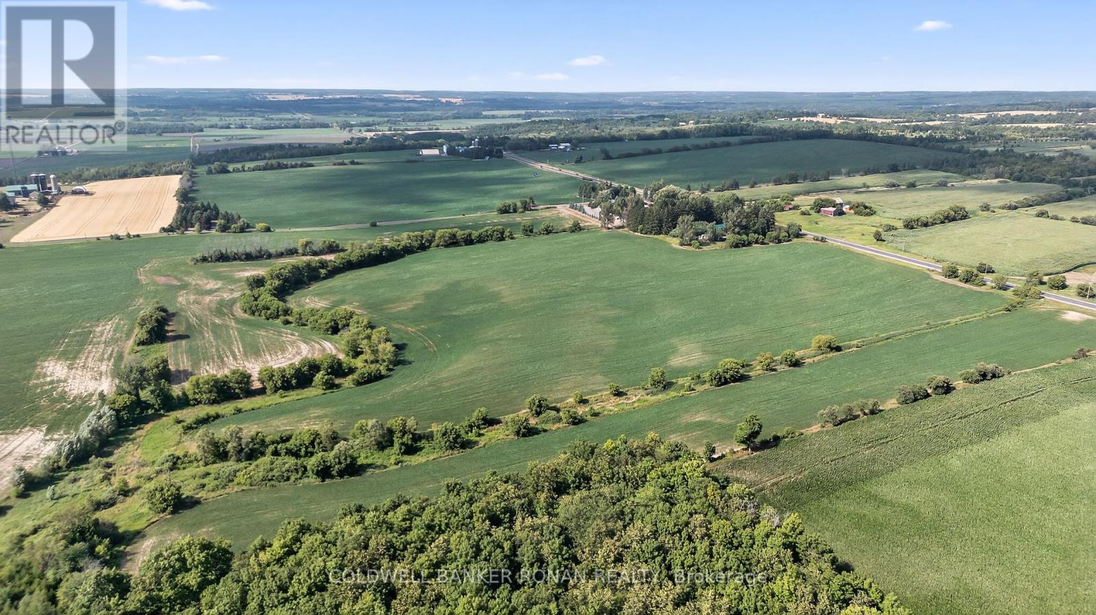 4495 Line 11, Bradford West Gwillimbury, Ontario  L0L 1L0 - Photo 12 - N12313038